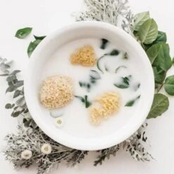 Sea Sponge -Kyte baby Store kyte baby home and bath natural one size sea sponge 11722210345071