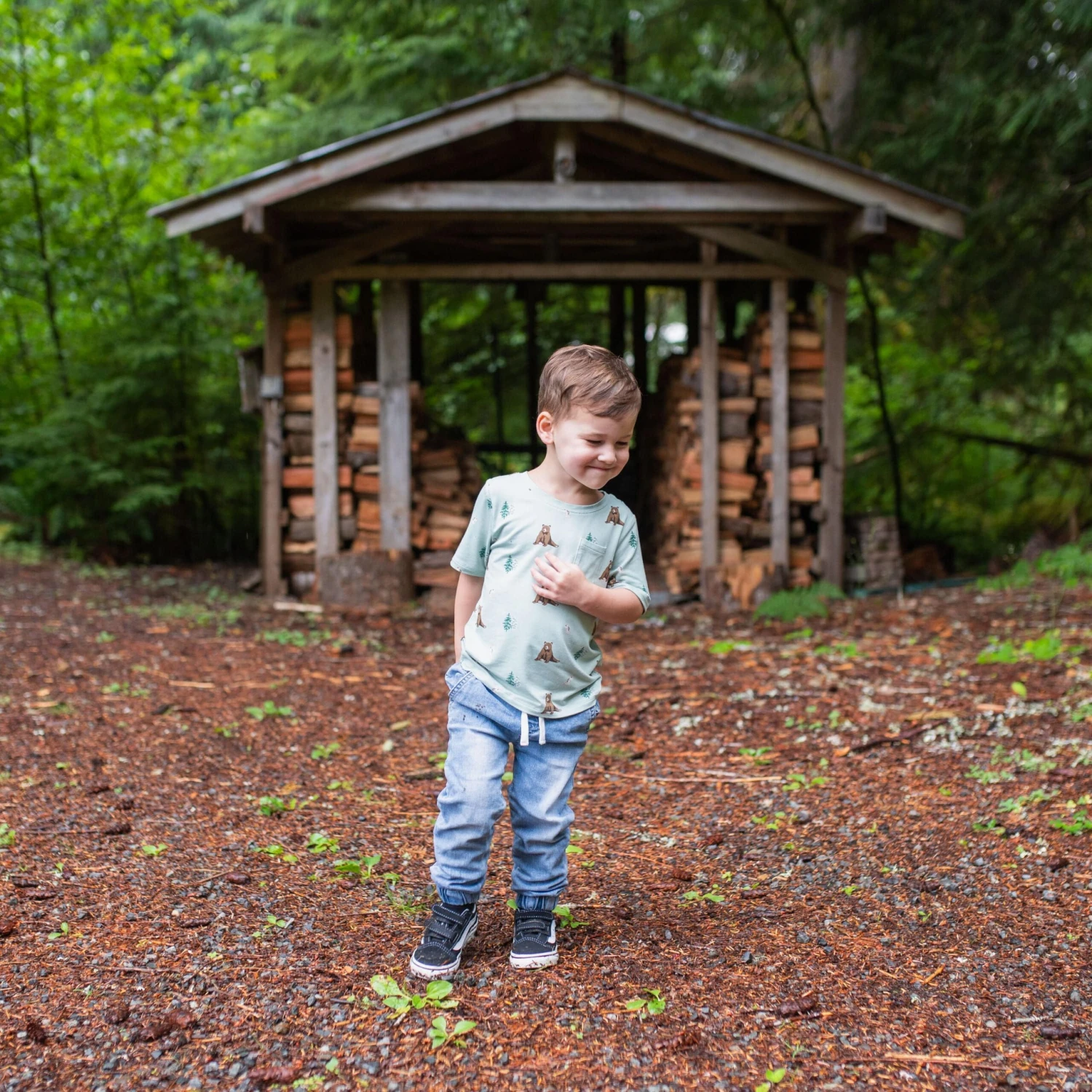 Toddler Crew Neck Tee In Trail 3 Toddler Crew Neck Tee In Trail - Image 3