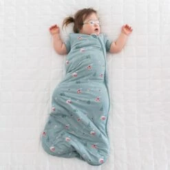 Sleep Bag In Alpine Village 2.5 8 Sleep Bag In Alpine Village 2.5 -Kyte baby Store kyte baby sleep bag 2 5 tog sleep bag in alpine village 2 5 32669222764655