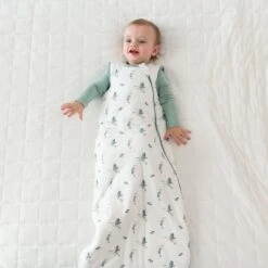 Kyte baby Store -Kyte baby Store kyte baby sleep bag 2 5 tog sleep bag in blue heron 2 5 32715454906479