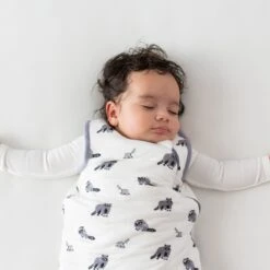 Sleep Bag In Raccoon 2.5 -Kyte baby Store kyte baby sleep bag 2 5 tog sleep bag in raccoon 2 5 32715430297711